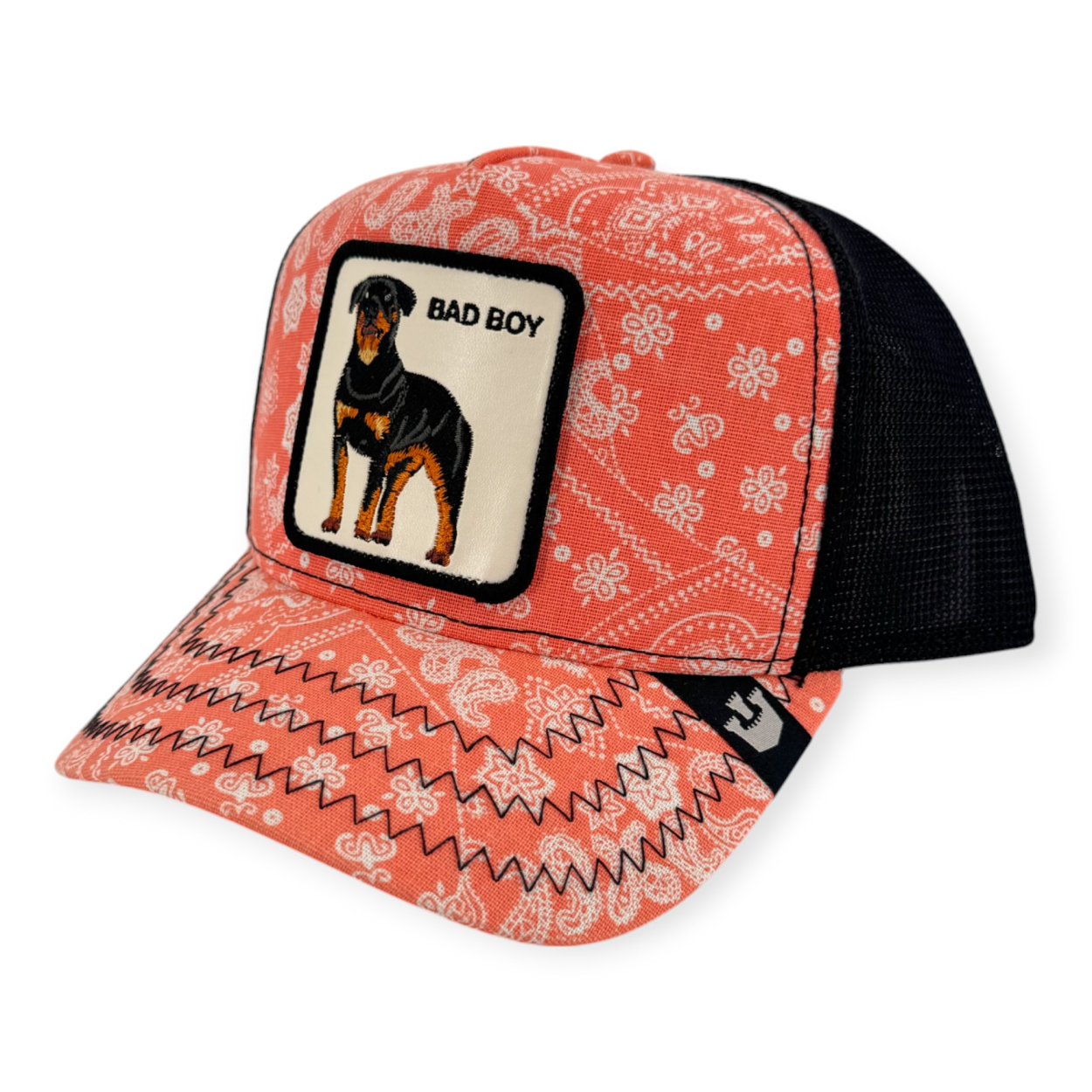 CAPPELLINO GOORIN BROS CAPPELLINO GOORIN BROS