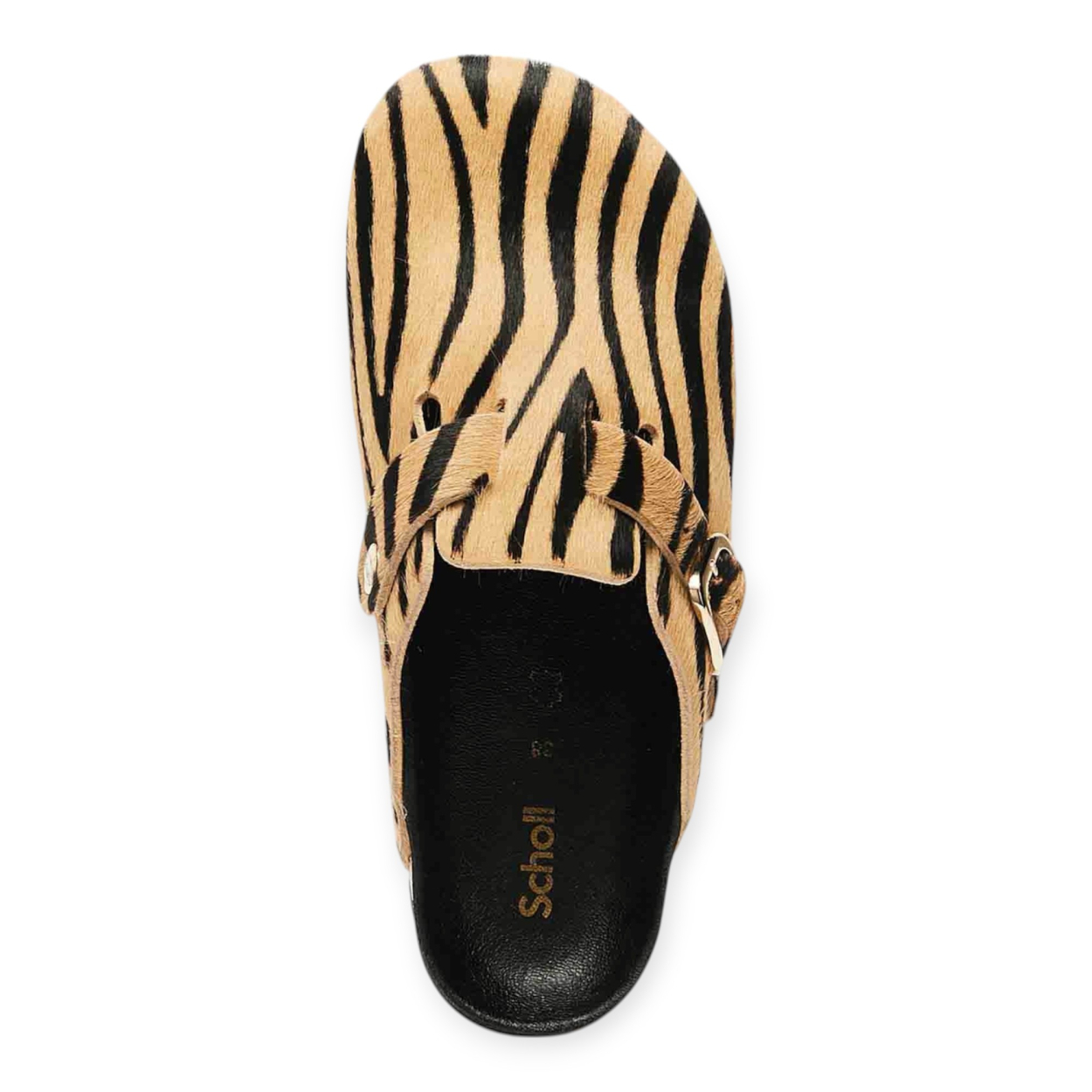 SCHOLL SABOT FAE DONNA SCHOLL SABOT FAE DONNA