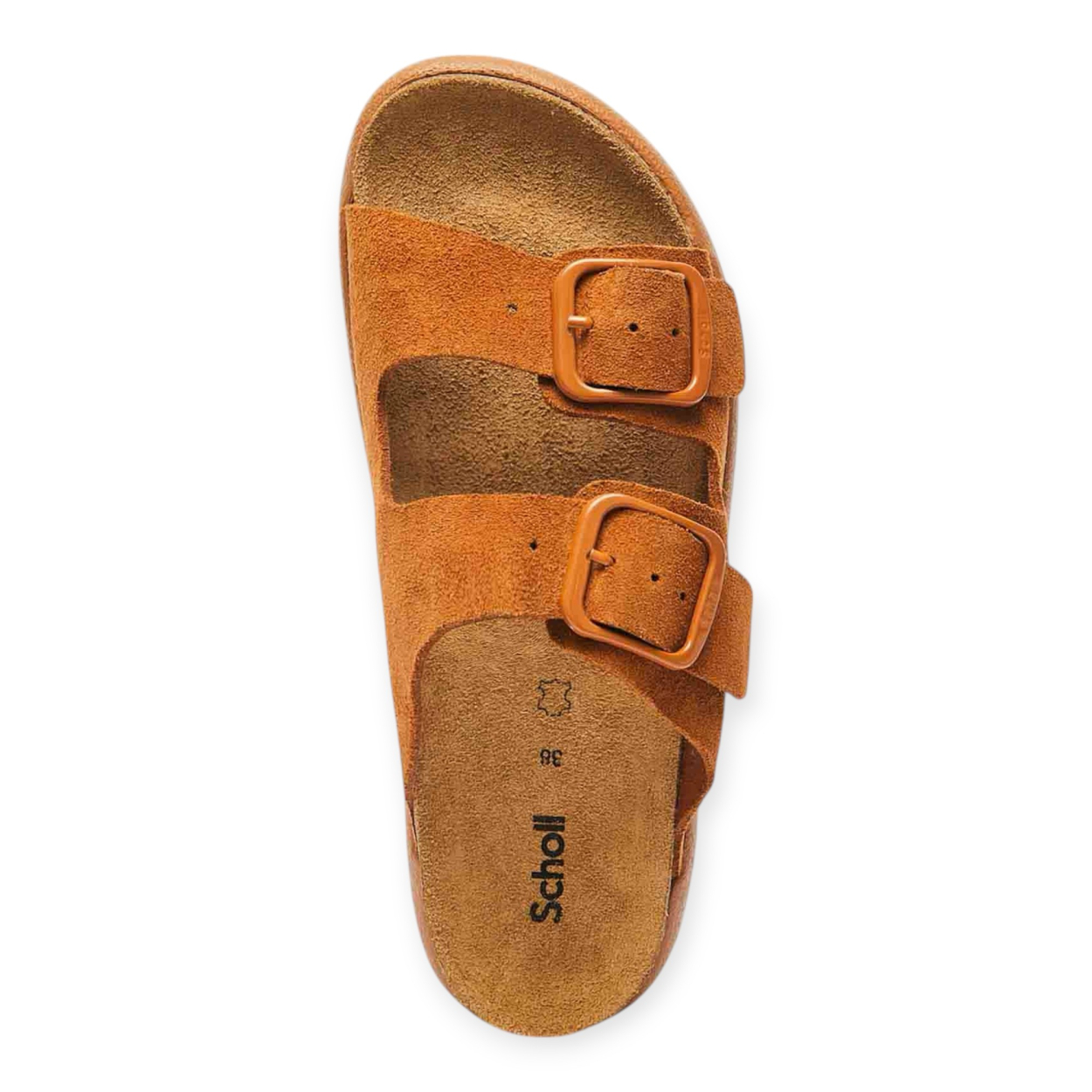 SCHOLL NOELLE CHUNKY CIABATTA DONNA SCHOLL NOELLE CHUNKY CIABATTA DONNA